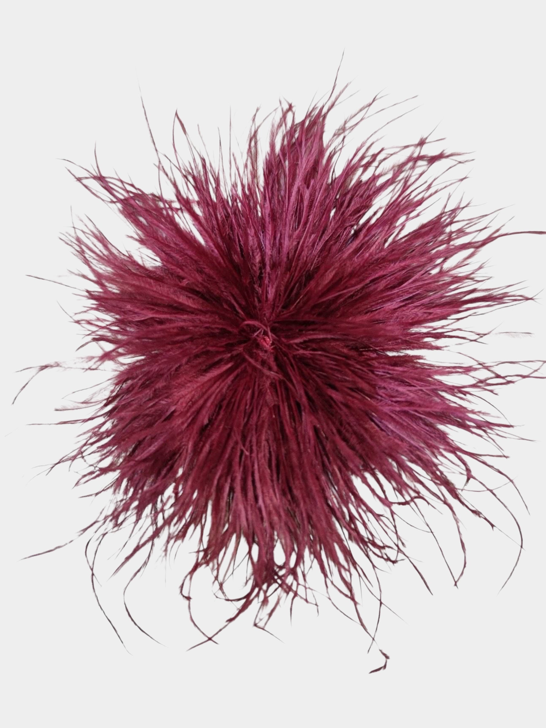 Brodie - Feathered brooch