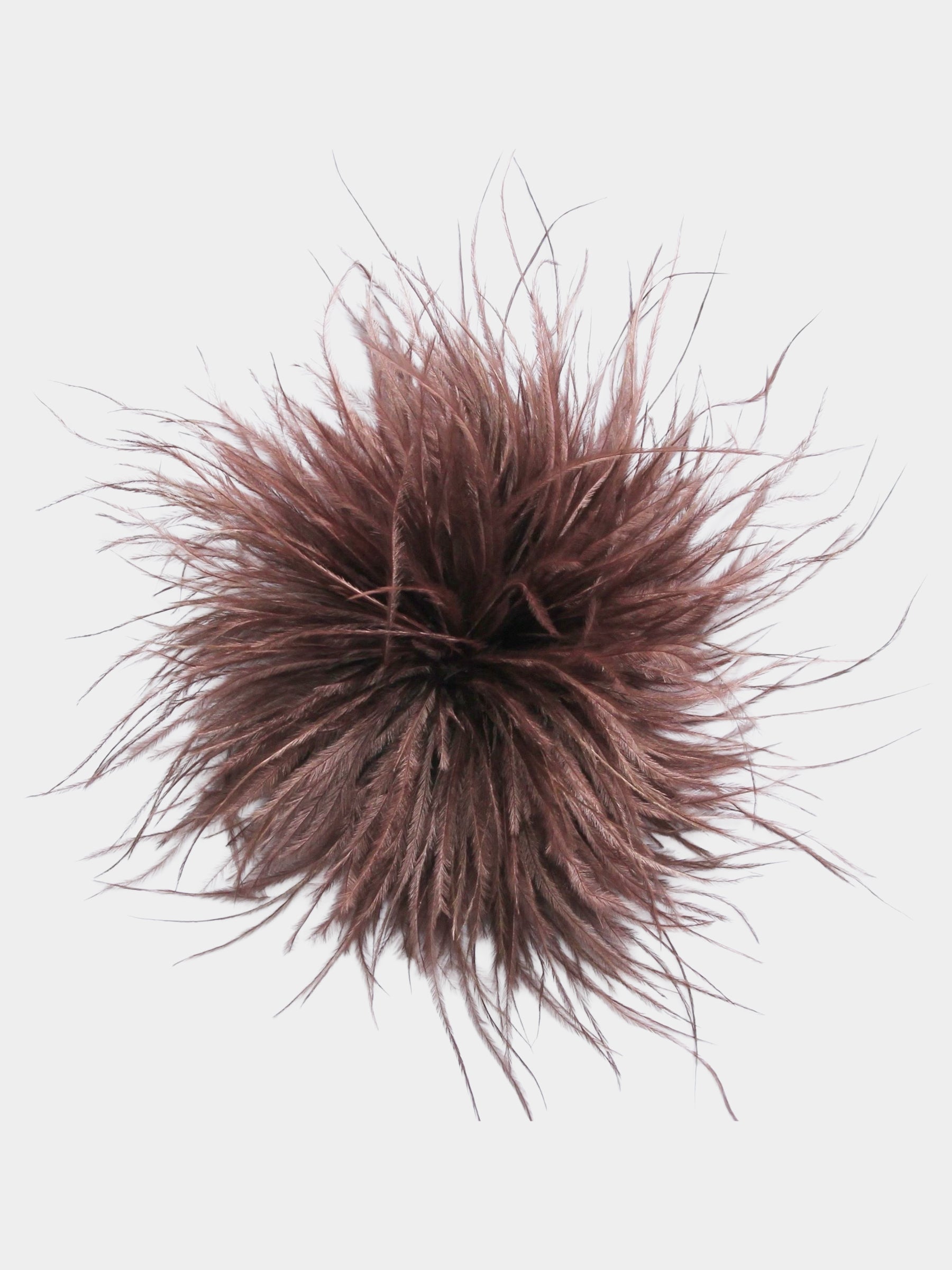 Brodie - Feathered brooch