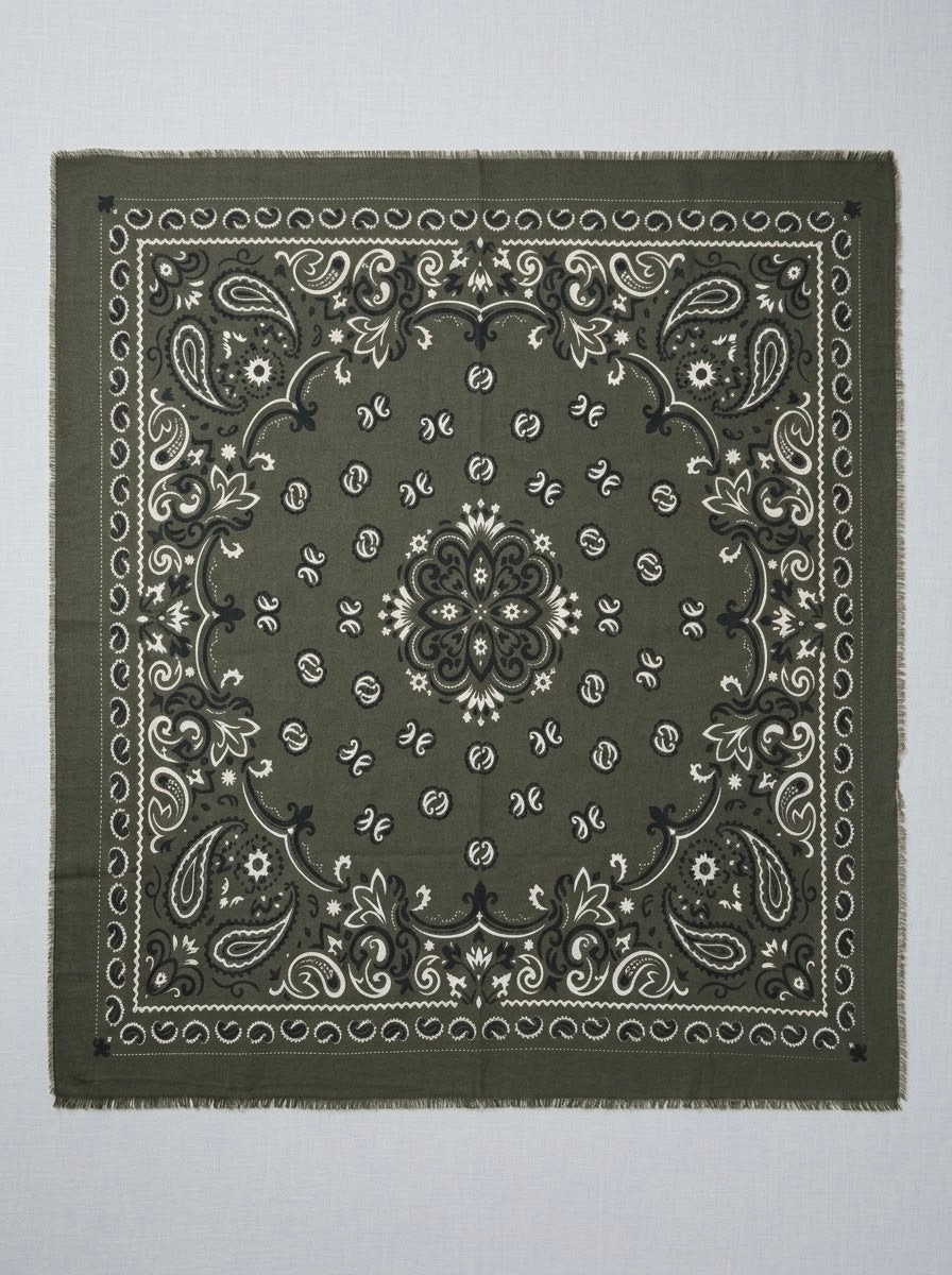 Peyton - Paisley wool blend scarf